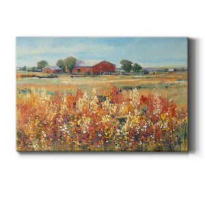 18" H x 12" W x 1" D Country View II Wrapped Canvas Print