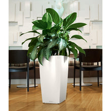 Load image into Gallery viewer, 16&quot; H x 9&quot; W x 9&quot; D White Cubico Self-Watering Plastic Pot Planter 7291
