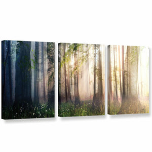36" H x 72" W x 2" D Cynthia Decker - 3 Piece Graphic Art Set on Canvas 7012RR