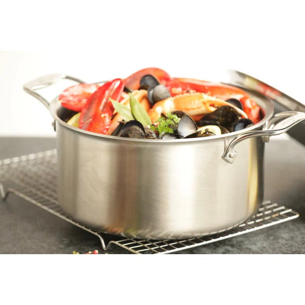 D5 Stainless® Brushed All-Clad Steel Stock Pot with Lid 4qt