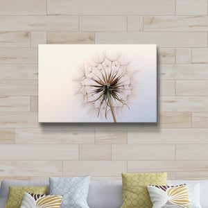 'Dandelion III' - Print on Canvas MRM2515