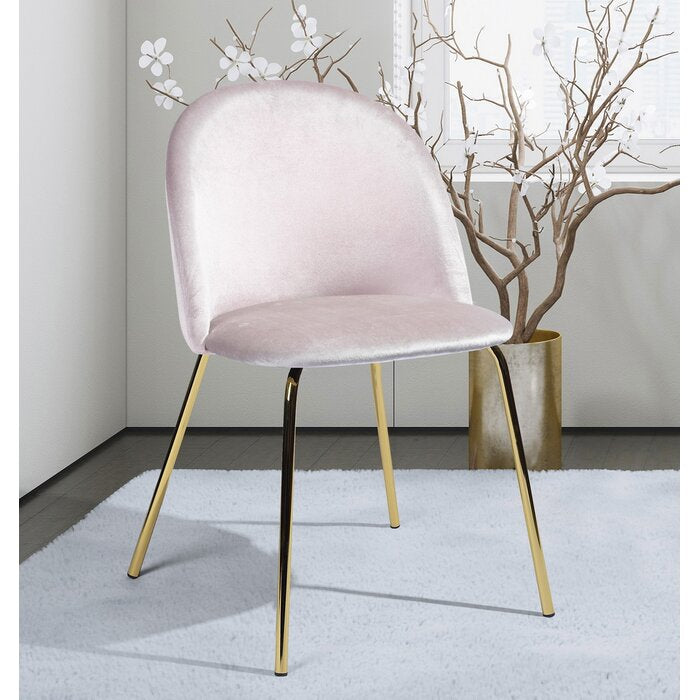 Darvin Velvet Upholstered Side Chair (Set of 2) AP372