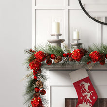 Load image into Gallery viewer, Decorative Collection 9&#39; Garland with 50 Clear/White Lights
