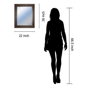 26" x 22" Mocha Decorative Modern and Contemporary Accent Mirror(2168RR)