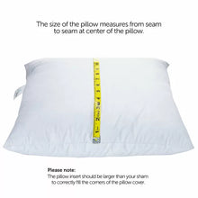 Load image into Gallery viewer, 22&quot; x 22&quot; Decorative Throw Pillow Insert Down Feathers Fill 100% Cotton Cover Square Pillow Insert (Set of 2)
