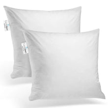 Load image into Gallery viewer, 22&quot; x 22&quot; Decorative Throw Pillow Insert Down Feathers Fill 100% Cotton Cover Square Pillow Insert (Set of 2)
