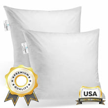 Load image into Gallery viewer, 22&quot; x 22&quot; Decorative Throw Pillow Insert Down Feathers Fill 100% Cotton Cover Square Pillow Insert (Set of 2)

