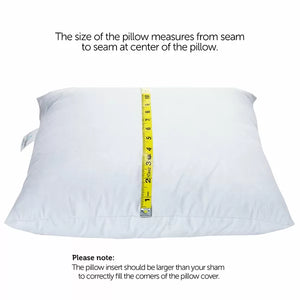 22" x 22" Decorative Throw Pillow Insert Down Feathers Fill 100% Cotton Cover Square Pillow Insert (Set of 2)