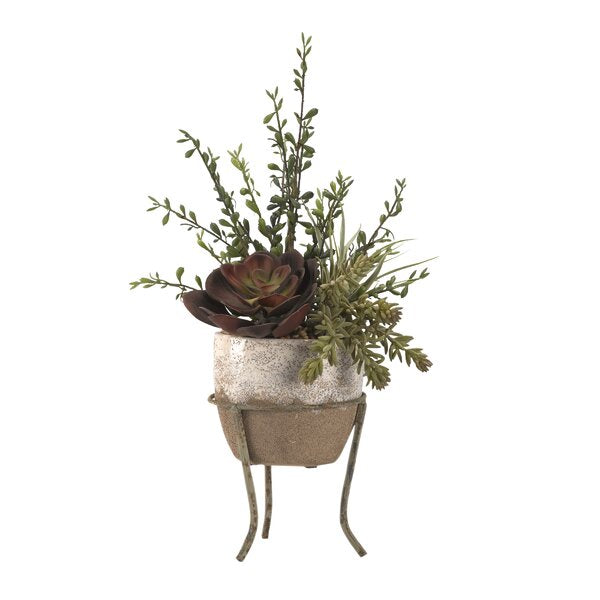 Desktop Succulent Plant in Ceramic Vase on Metal Stand 3200RR