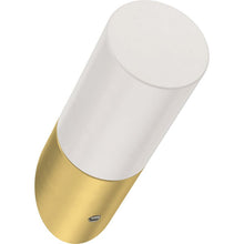 Load image into Gallery viewer, Dimmick 5 - Hook Wall Mounted GL135
