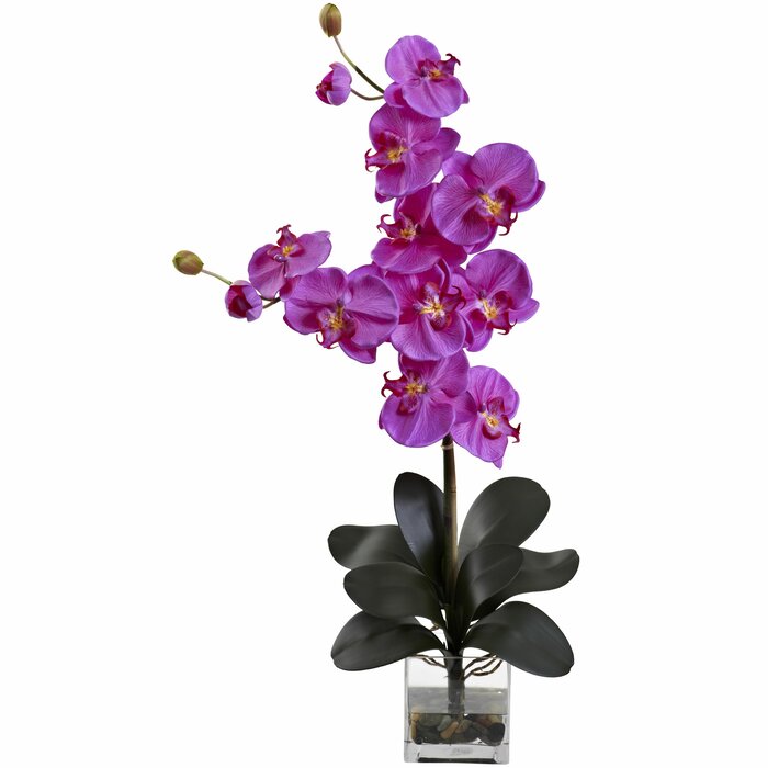 Double Giant Orchid Floral Arrangement in Vase #1751HW