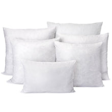 Load image into Gallery viewer, 20&quot; H x 20&quot; W x 5&quot; D Down Pillow Insert (Set of 4)
