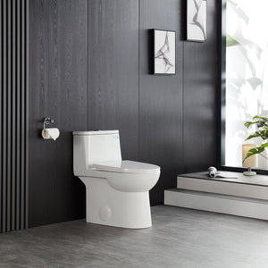 Dual-Flush Elongated One-Piece Toilet (Seat Included)