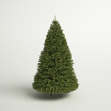 Load image into Gallery viewer, Dunhill Fir 120&#39;&#39; Lighted Artificial Fir Christmas Tree
