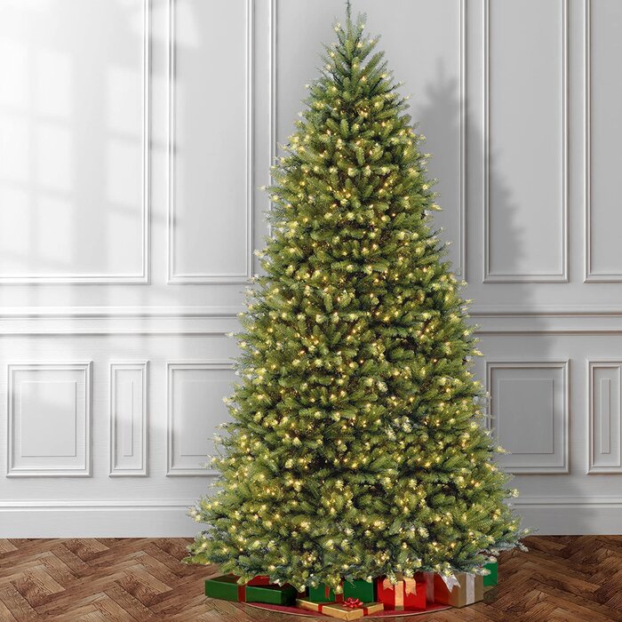 Dunhill Fir 120'' Lighted Artificial Fir Christmas Tree