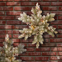 Load image into Gallery viewer, Dunhill Fir Pre-Lit Swag with 15 Warm Clear/White Lights
