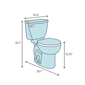 2157010005 DuraStyle Dual Flush Elongated One-Piece Toilet, 5719RR