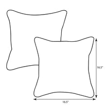 Load image into Gallery viewer, 16.5&quot; x 16.5&quot; Lagoon Earles Outdoor Square Pillow Cover &amp; Insert (Set of 2)
