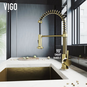 VG02001MG Edison Pull Down Single Handle Kitchen Faucet with Optional Soap Dispenser MRM1173