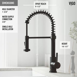 Edison Pull Down Single Handle Kitchen Faucet with Optional Soap Dispenser