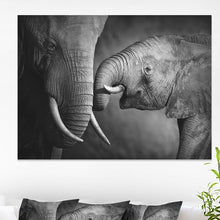 Load image into Gallery viewer, 30&quot; H x 40&quot; W x 1&quot; D Gray Elephants Showing Affection - Wrapped Canvas Graphic Art Print (SB496)
