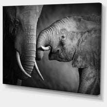 Load image into Gallery viewer, 30&quot; H x 40&quot; W x 1&quot; D Gray Elephants Showing Affection - Wrapped Canvas Graphic Art Print (SB496)
