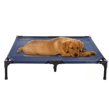 Load image into Gallery viewer, Elevated Pet Cot (36&quot; X 30&quot; X 7&quot;) in Blue #9337
