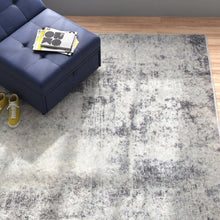 Load image into Gallery viewer, Elsea Ivory/Gray Area Rug, 9 x 12
