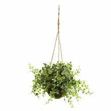 Load image into Gallery viewer, Eucalyptus, Maidenhair and Berry Hanging Plant in Basket (Set of 3)
