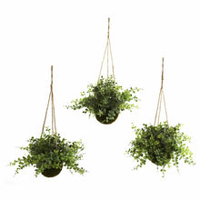 Load image into Gallery viewer, Eucalyptus, Maidenhair and Berry Hanging Plant in Basket (Set of 3)
