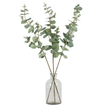 Load image into Gallery viewer, Eucalyptus Spray (Set of 3)
