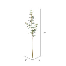 Load image into Gallery viewer, Eucalyptus Spray (Set of 3)
