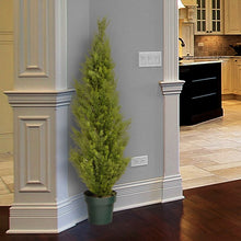 Load image into Gallery viewer, Evgenia Artificial Cedar Topiary in Pot, AH3514
