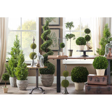 Load image into Gallery viewer, Evgenia Artificial Cedar Topiary in Pot AH3514
