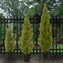 Load image into Gallery viewer, Evgenia Artificial Cedar Topiary in Pot AH3514
