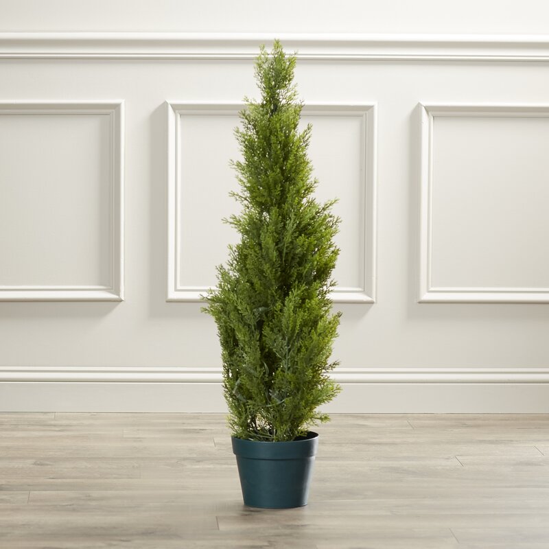 Evgenia Artificial Cedar Topiary in Pot AH3514