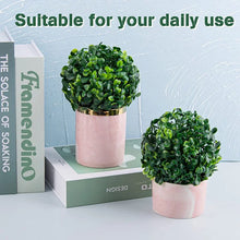 Load image into Gallery viewer, Faux Boxwood Plant, 9.84&quot; H x 9.84&quot; W x 9.84&quot; D (Set of 2)
