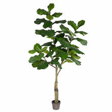 Load image into Gallery viewer, 72&quot; H x 34&quot; W x 34&quot; D Faux Foliage Tree in Pot
