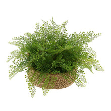 Load image into Gallery viewer, Faux Maidenhair Fern Plant in Basket 1064AH
