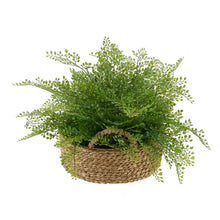 Load image into Gallery viewer, Faux Maidenhair Fern Plant in Basket
