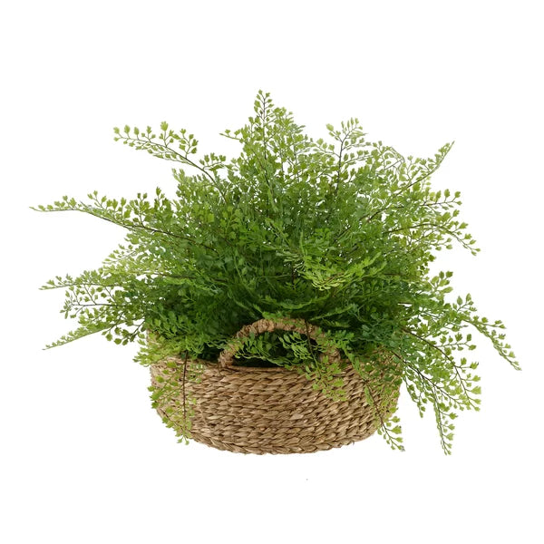 Faux Maidenhair Fern Plant in Basket