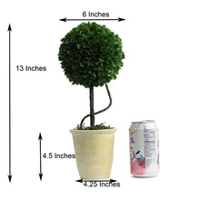 Load image into Gallery viewer, Faux Preserved Floor Boxwood Topiary In Pot
