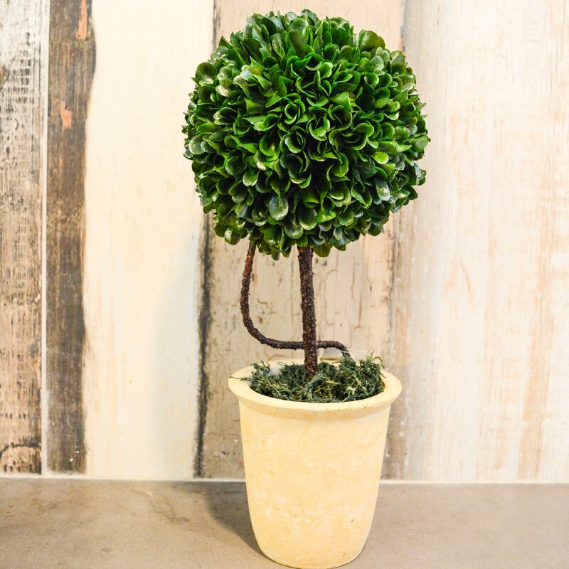 Faux Preserved Floor Boxwood Topiary In Pot