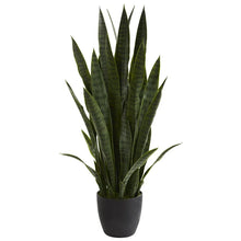 Load image into Gallery viewer, Faux Snake Plant in Planter SET OF 2

