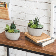 Load image into Gallery viewer, Faux Succulent in Planter (Set of 2)
