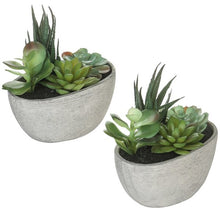 Load image into Gallery viewer, Faux Succulent in Planter (Set of 2)
