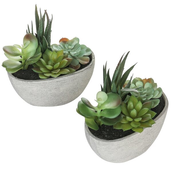 Faux Succulent in Planter (Set of 2)