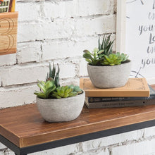Load image into Gallery viewer, Faux Succulent in Planter (Set of 2)
