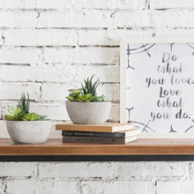 Load image into Gallery viewer, Faux Succulent in Planter (Set of 2)
