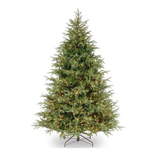 Load image into Gallery viewer, Feel Real Frasier Pre-Lit 7.5&#39; Green Fir Christmas Tree with 1000 Clear/White Lights
